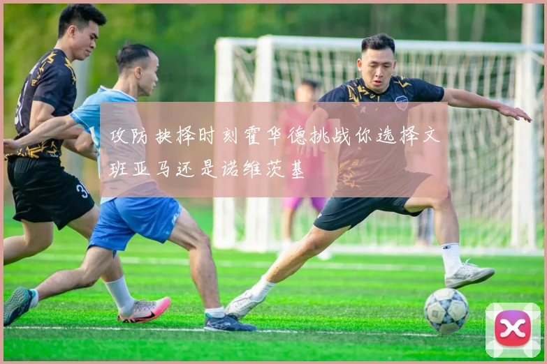 攻防抉择时刻霍华德挑战你选择文班亚马还是诺维茨基