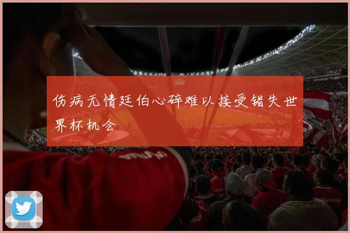 伤病无情廷伯心碎难以接受错失世界杯机会