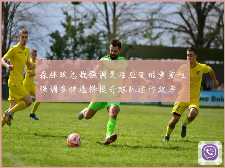 森林狼总裁强调灵活应变的重要性强调多样选择提升球队运作效率